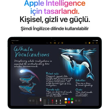 Apple iPad Air M3 11 128GB Wi-Fi + Cellular Mor MCFY4TU/A Fiyatı