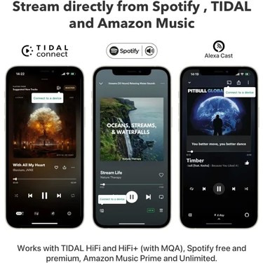 Wiim Mini Airplay2 Kablosuz Ses Aktarıcı Fiyatı