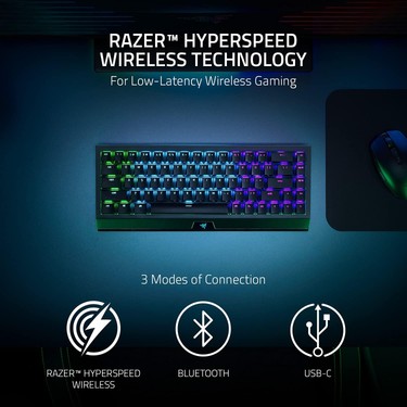 Razer Blackwidow V3 Mini Green Switch HyperSpeed RGB Fiyatı