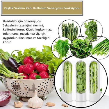 2'li Yeşillik Saklama Kabı Seti - Taze Tutan Herb Keeper Fiyatı