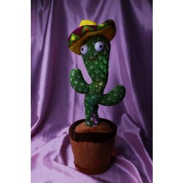 gummibaum temperatur Ficus elastica