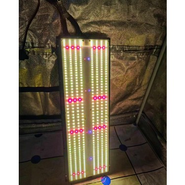 Evo Quantum Board CN2500 Bitki Yetiştirme Lambası Full Fiyatı