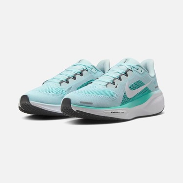 Nike Air Zoom Pegasus 41 Road Running Kadın Spor Ayakkabı Fiyatı
