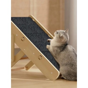 Serval Kedisi İçin Zıplama Rampası