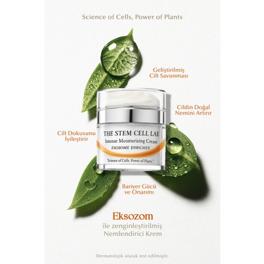 The Stem Cell Lab 101 Intense Moisturizing Cream 50ML ( Fiyatı