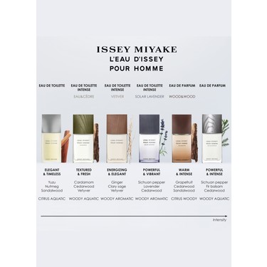 Leau Dissey Pour Homme Edp 75 ml Erkek Parfüm Fiyatı
