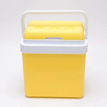 Icepeak SF26 Taşıma Çantası Buzluk 26 Litre Fiyatı