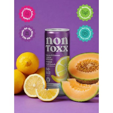 Non Toxx Limon & Kavun Aromalı Sirkeli Gazlı Içecek 250 ml x Fiyatı