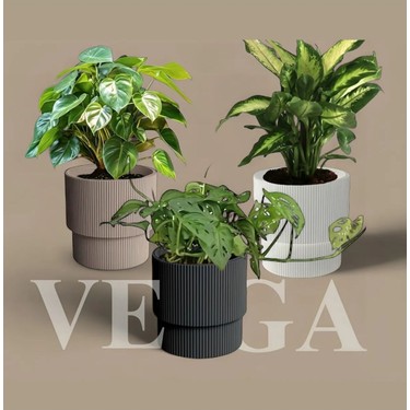 Elite Peronline Serinova Vega Saksı 33 Litre 1 Adet Fiyatı