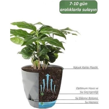 Omnipazar KRS-457 Yakamoz Tabaklı Plastik Saksı Takımı 26 Fiyatı