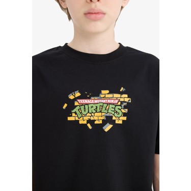 DeFacto Erkek Çocuk Teenage Mutant Ninja Turtles Bisiklet Fiyatı