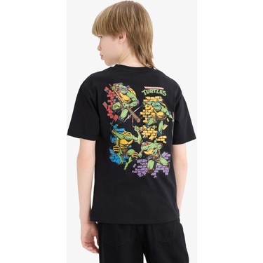 DeFacto Erkek Çocuk Teenage Mutant Ninja Turtles Bisiklet Fiyatı