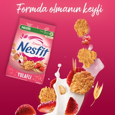 Nestle Nesfit Kırmızı Meyveli 400 gr Fiyatı - Taksit Seçenekleri