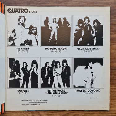 THE SUZI QUATRO STORY GOLDEN 20 HITS - 洋楽通販