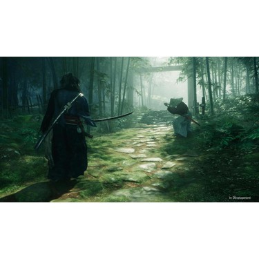 Sony Rise Of The Ronin Aksiyon Oyunu PS5 Tek Oyuncu Deneyimi Fiyatı
