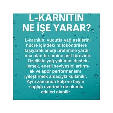 thermogenic l-carnitine 4000 ne ie yarar Torq Nutrition eftali Aromal 1000 Ml Kullanm ekli 1 Big Joy Thermonator L-Carnitine 1000