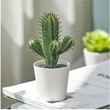 IKEA Fejka Kakts 14 cm Mini Saksl Yapay Kakts Bitki Fiyat