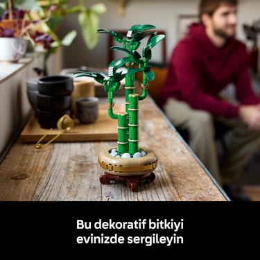 LEGO® Botanicals Şans Bambusu 10344 - Doğasever Yetişkinler Fiyatı