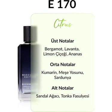 David Walker E170 Marvel 100 ml Erkek Parfüm | Citrus Fiyatı