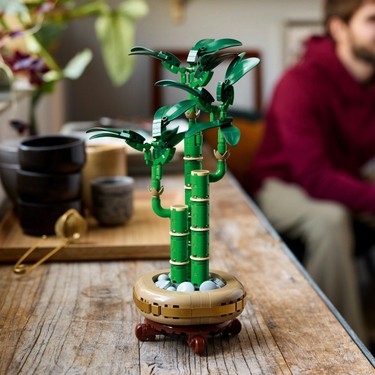 LEGO Botanicals Şans Bambusu 10344 – Yetişkin Kadın ve Fiyatı