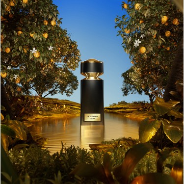 Le Gemme Tygar Edp 60 ml Unisex Parfüm Fiyatı - Taksit Seçenekleri