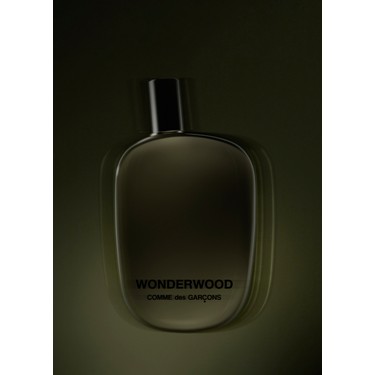 Wonderwood Edp 100 ml Unisex Parfüm Fiyatı - Taksit Seçenekleri
