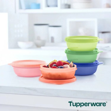 Tupperware S&s 5'li 300 ml Fantastic Saklama Kabı Sızdırmaz Fiyatı