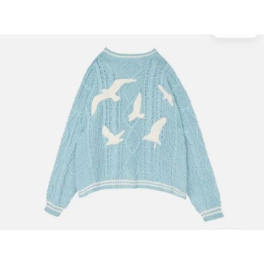 Shein Mavi 1989 (Taylor's Version) Cardigan Oversize Hırka Fiyatı