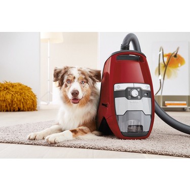 Miele Blizzard CX1 Cat&Dog Mango Kırmızı - Toz Torbasız Fiyatı