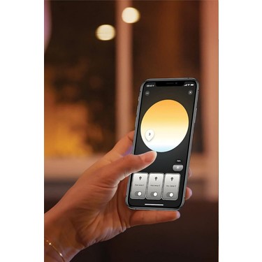 Philips Hue White Ambiance Enrave Tavan Lambası S Fiyatı
