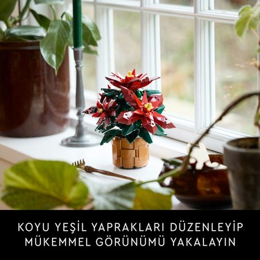 LEGO ® Botanicals Ponsetya 10370 - Yetişkinler için Atatürk Fiyatı