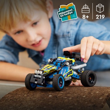 LEGO® Technic Arazi Yarışı Arabası 42164 - 8 Yaş & Üzeri Fiyatı