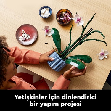 LEGO® Botanicals Orkide 10311 – Yetişkinler için 5 Yaprak ve Fiyatı