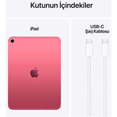 Apple iPad Wi-Fi + Cellular 128GB - Pembe Fiyatı