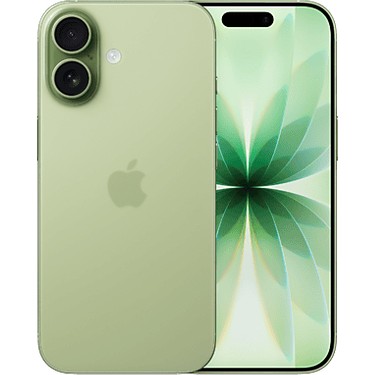 Apple MG6N4TU/A iPhone 17 256GB Akıllı Telefon Adaçayı Fiyatı