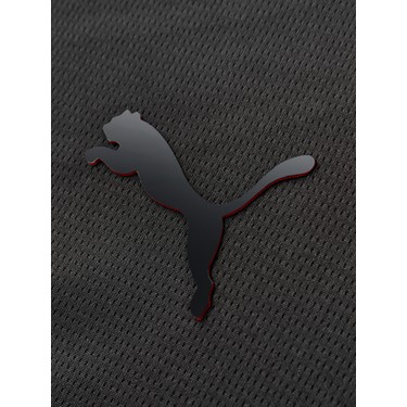 GS Store Galatasaray Puma Limited Edition Şort 78152212 Fiyatı