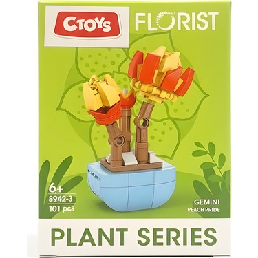 Ctoys Florist Burçlar Saksılı Bitki Yapım Seti Gemini 8942 3 Fiyatı