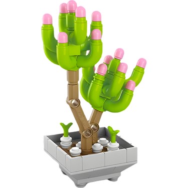 Ctoys Florist Burçlar Saksılı Bitki Yapım Seti Virgo 8942 6 Fiyatı