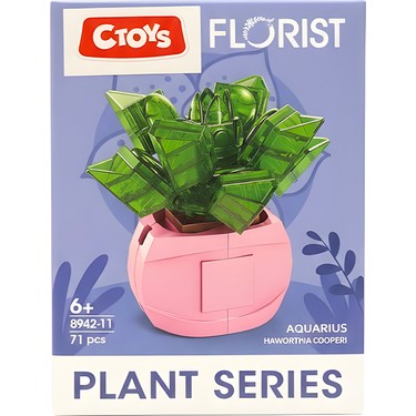Ctoys Florist Burçlar Saksılı Bitki Yapım Seti Aquarius 8942 Fiyatı