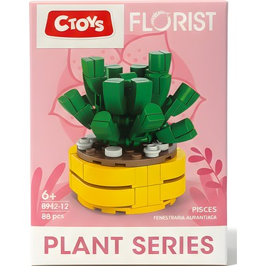 Ctoys Florist Burçlar Saksılı Bitki Yapım Seti Pisces 8942 Fiyatı
