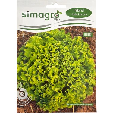 Simagro Kışlık Kıvırcık Marul Tohumu 10GR Paket Fiyatı