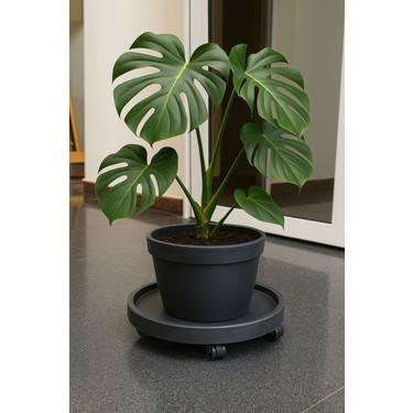 Plant Home Power Mix 35 cm Tekerlekli Saksı Altlığı – Ağır Fiyatı