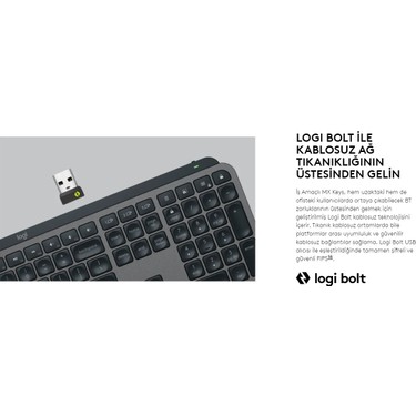 Logıtech Mx Keys Kablosuz Kurumsal Siyah 920-010254 Klavye Fiyatı