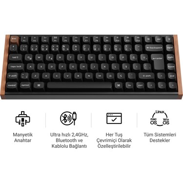 Keychron K2 He Special Edition Siyah %75 Gateron Magnetic Fiyatı