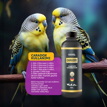 Munich Vet Caradox 500 ml Kursak Mantarı Ağızdan Peynirleşme Fiyatı