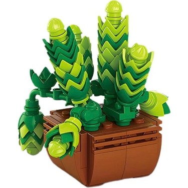 Sukulent Sedum Dasyphyllum Saksı Çiçek Dekor 138PARÇA Bricks Fiyatı