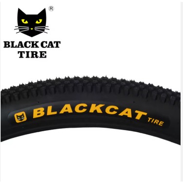 しゅう】DMS Black Cat EPS 5'8 Black CAT | DMS サーフボード 日本