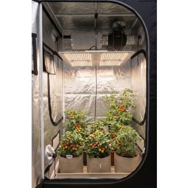 Horticulture Lightning Solutions Gen 5 Ls Evo 250W Samsung Fiyatı
