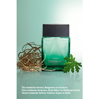 香水(男性用) IMPACT Avon Segno Impact Erkek Parfüm 75 ml Baharatlı Koku ile Fiyatı