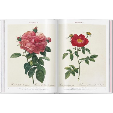 Redoute Roses - Pierre Joseph Redoute Kitabı ve Fiyatı